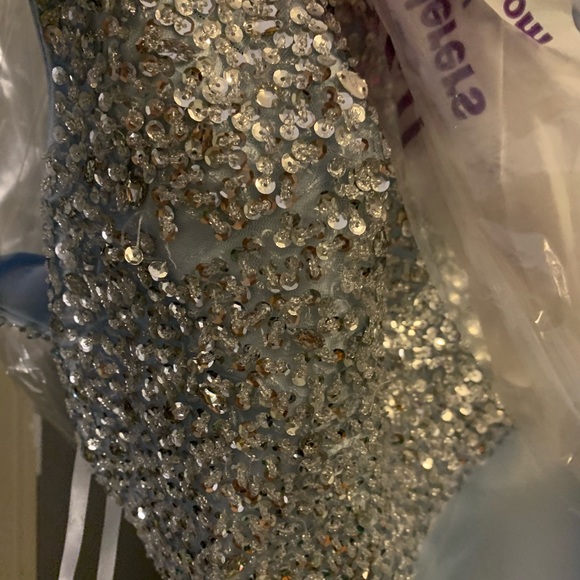 Plus size Ed Young Homecoming dress - Picture 4 of 4